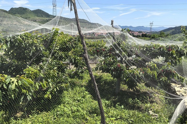 Chinese Courtyard Sun Shade Sail  Gardening Net Service Provider for Global Clients