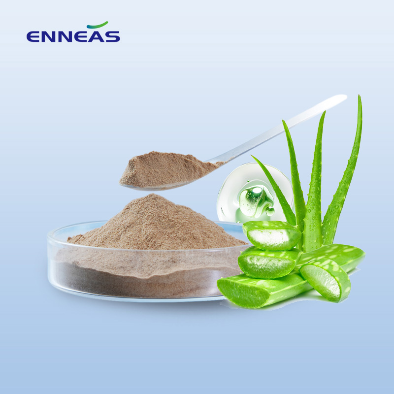 Hainan Enneas Technology Chinese 1001 Whole Leaf Aloe Vera Powder Supplier for Global Brands
