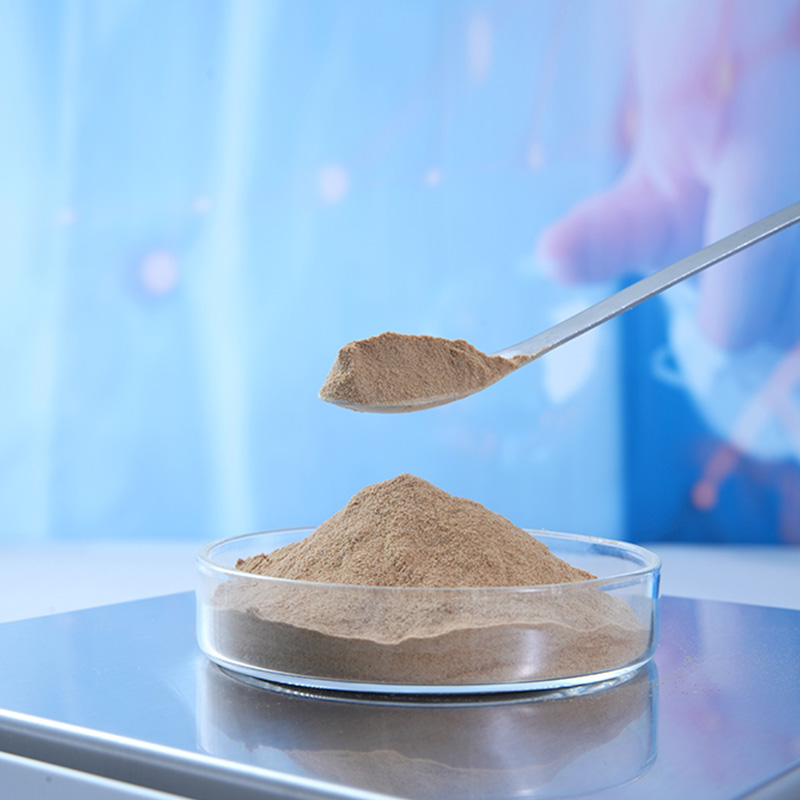FoodGrade Aloe Vera Powder by Hainan Enneas Reliable Supplier for Global Food  Cosmetic Brands