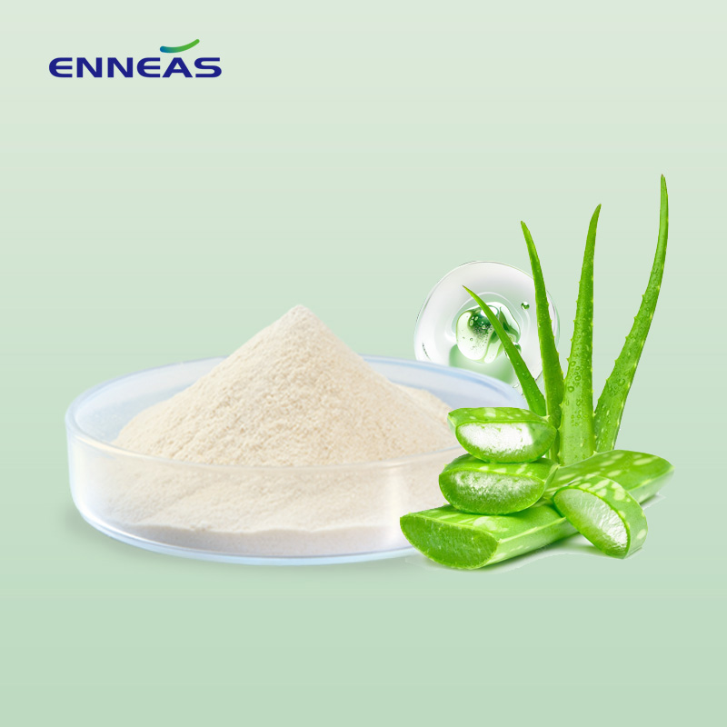 2026 Top Chinese HighPurity Aloe Vera Powder Suppliers List