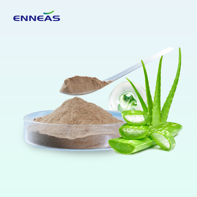 2026 Top Chinese Organic Aloe Vera Powder Suppliers List